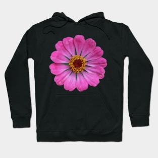 Beautiful pink daisy flower Hoodie